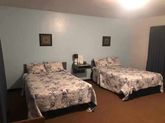 Cindy'S Motel & Rv Park Mayo 외부 사진